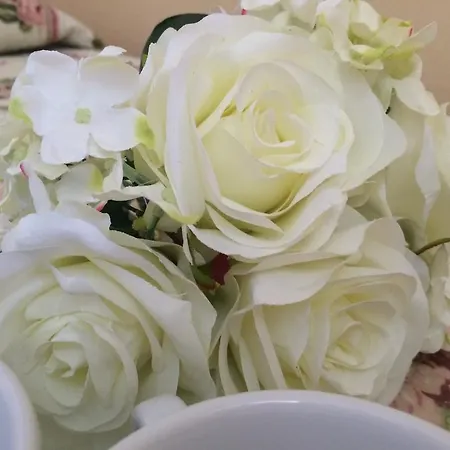 Butterfly Montecatini Terme