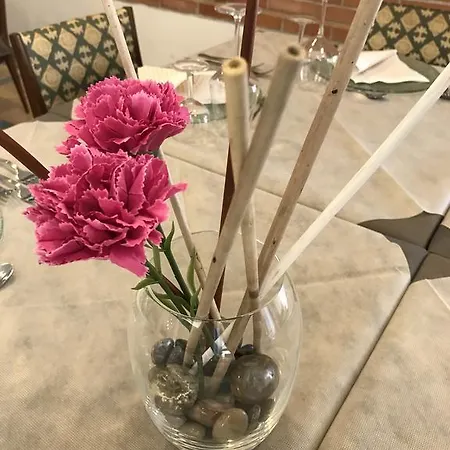 Hotel Butterfly Montecatini Terme